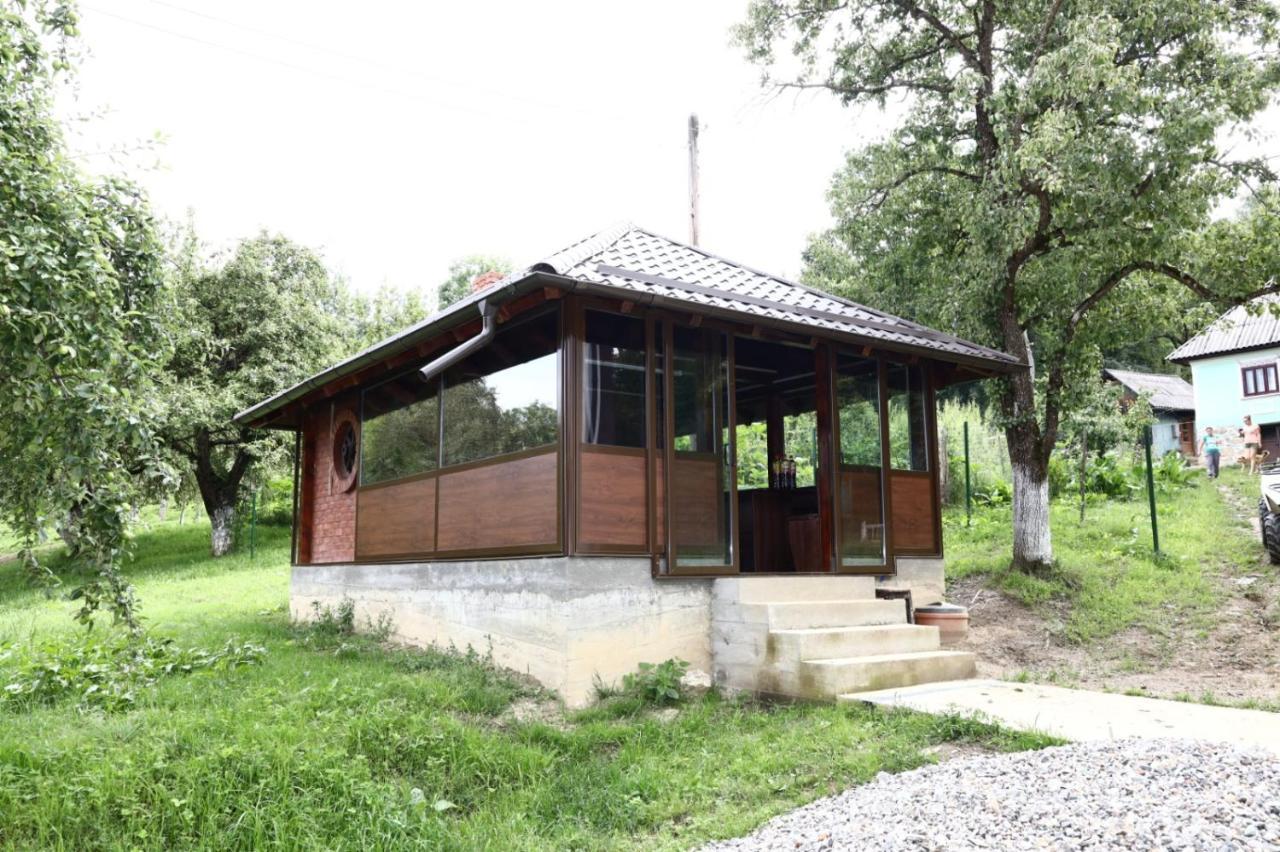 Hățașul Bunicului Arefu